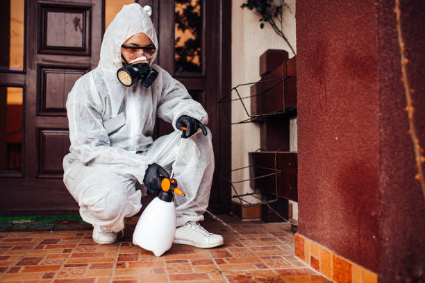 Attic and Crawl Space Rodent Treatment in Rio Communities